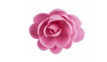 Розы сложные розовые большие d=5см